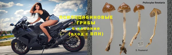 mdma Вяземский