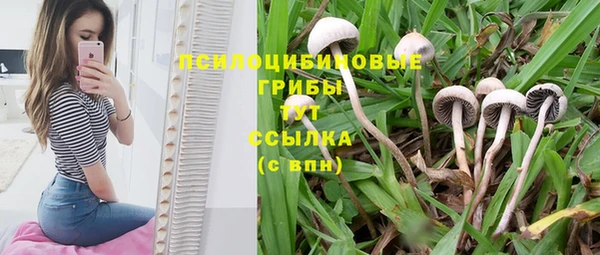 mdma Вяземский