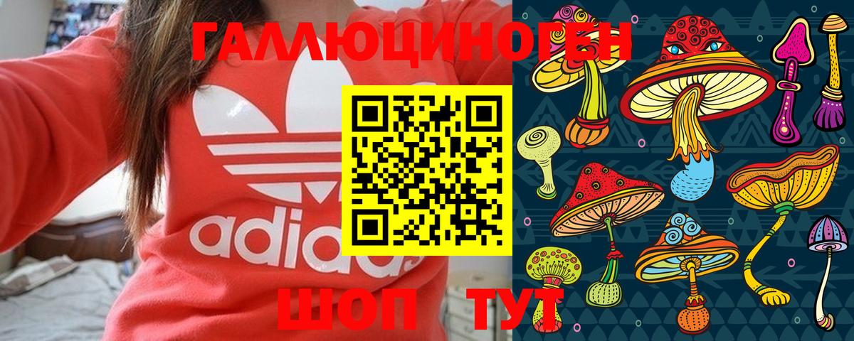 Донецк  Галлюциногенные грибы Psilocybine cubensis  Вход с VPN 